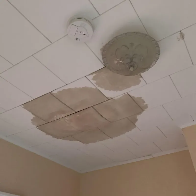 Ceiling Water Damage Repair in Fairchilds, TX