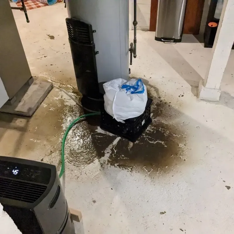 Sewage Backup Cleanup Service in Fairchilds, TX